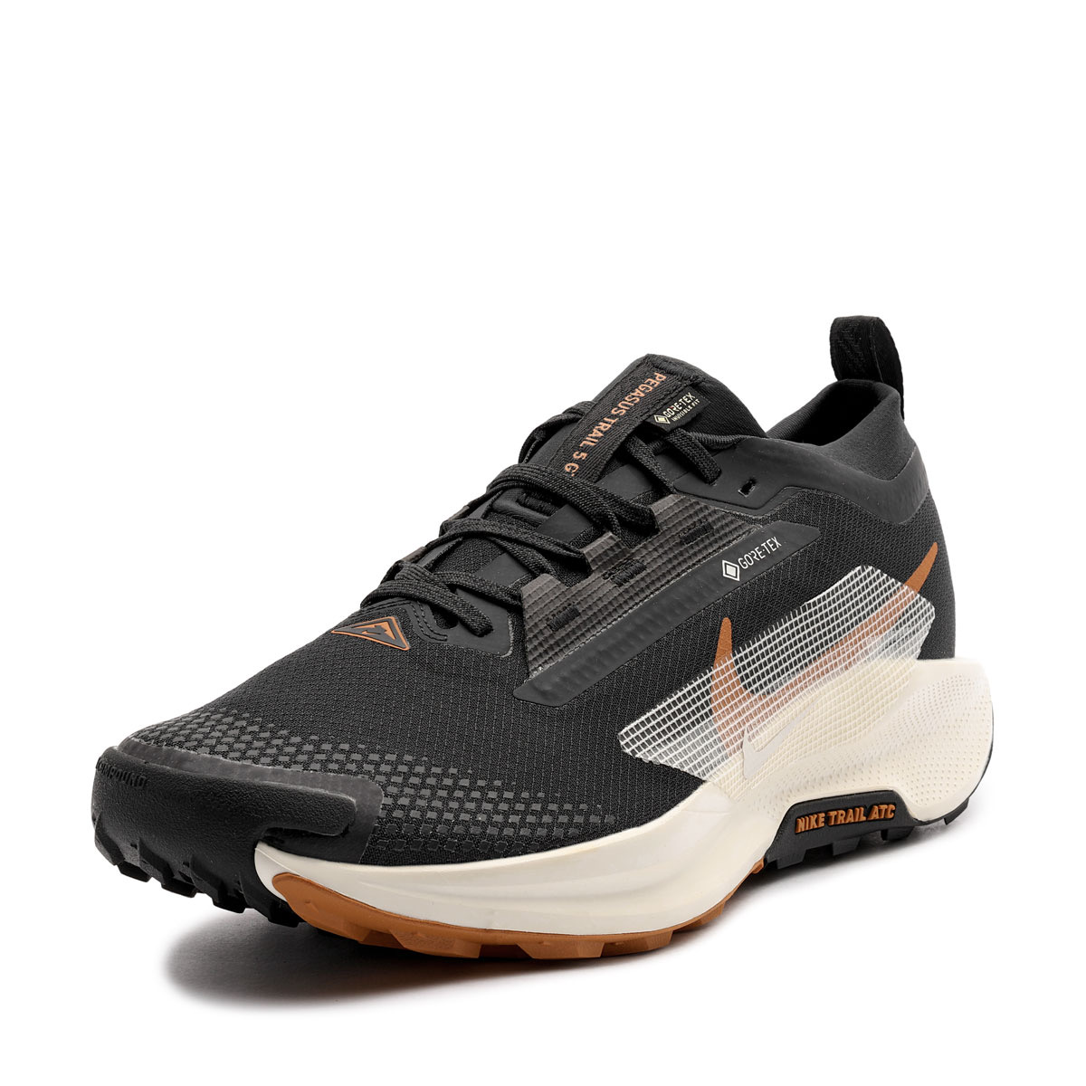 Nike Pegasus Trail 5 GORE-TEX Men